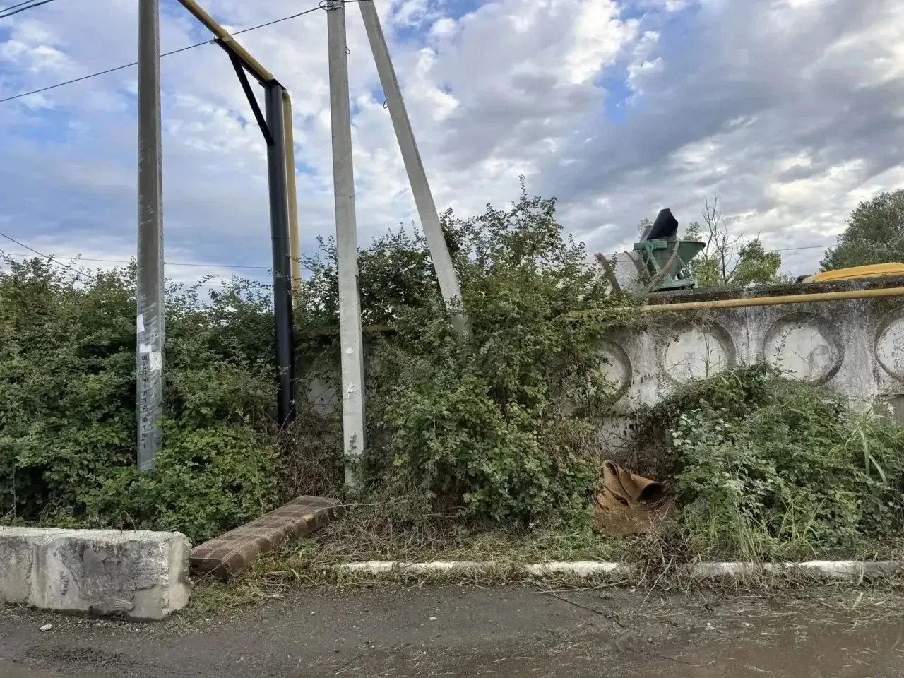 🌿 Убрали для отчёта или всё-таки наведут порядок до конца?