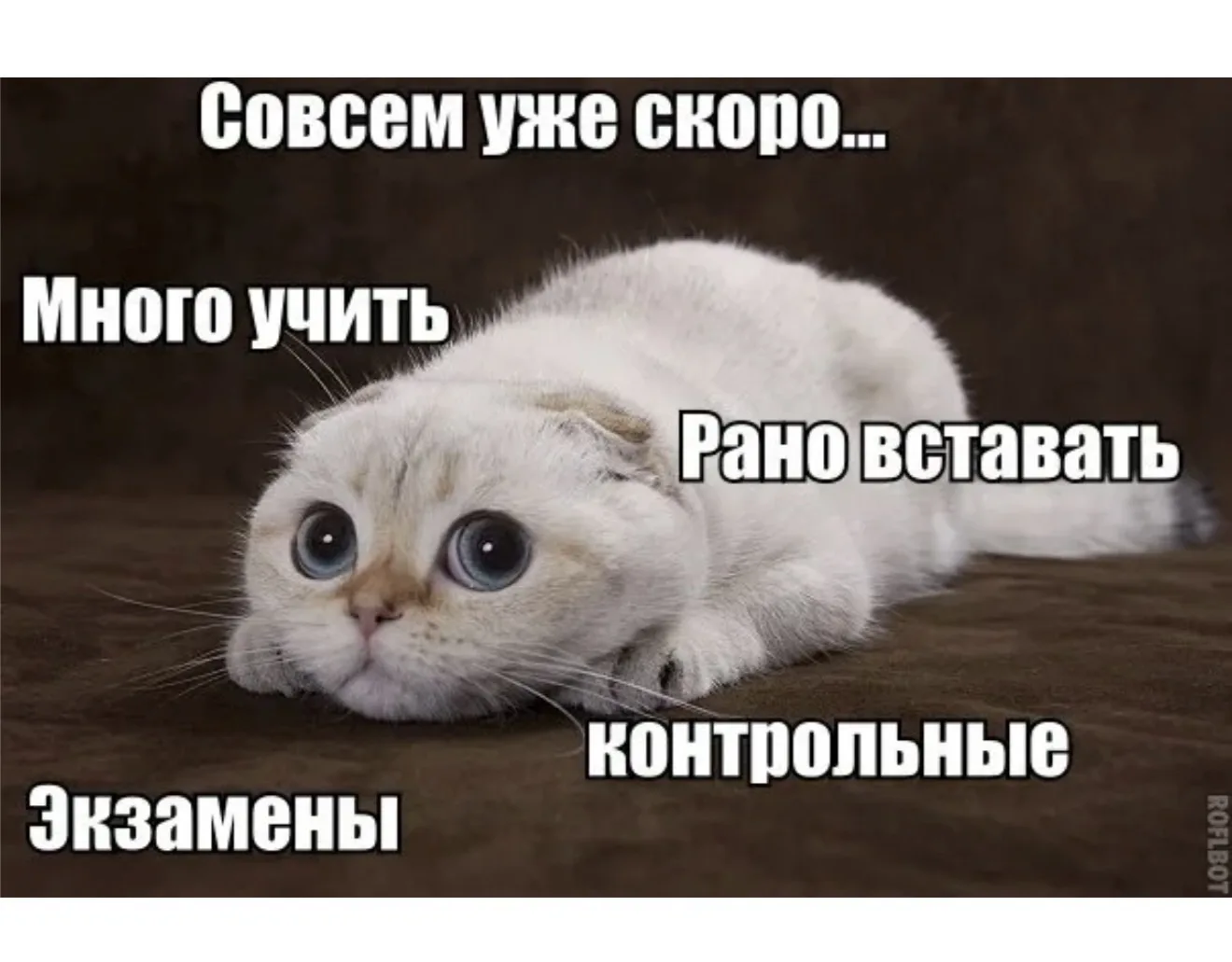 🎉 Сентябрь на носу — а значит, совсем скоро снова в школу! 📚✨