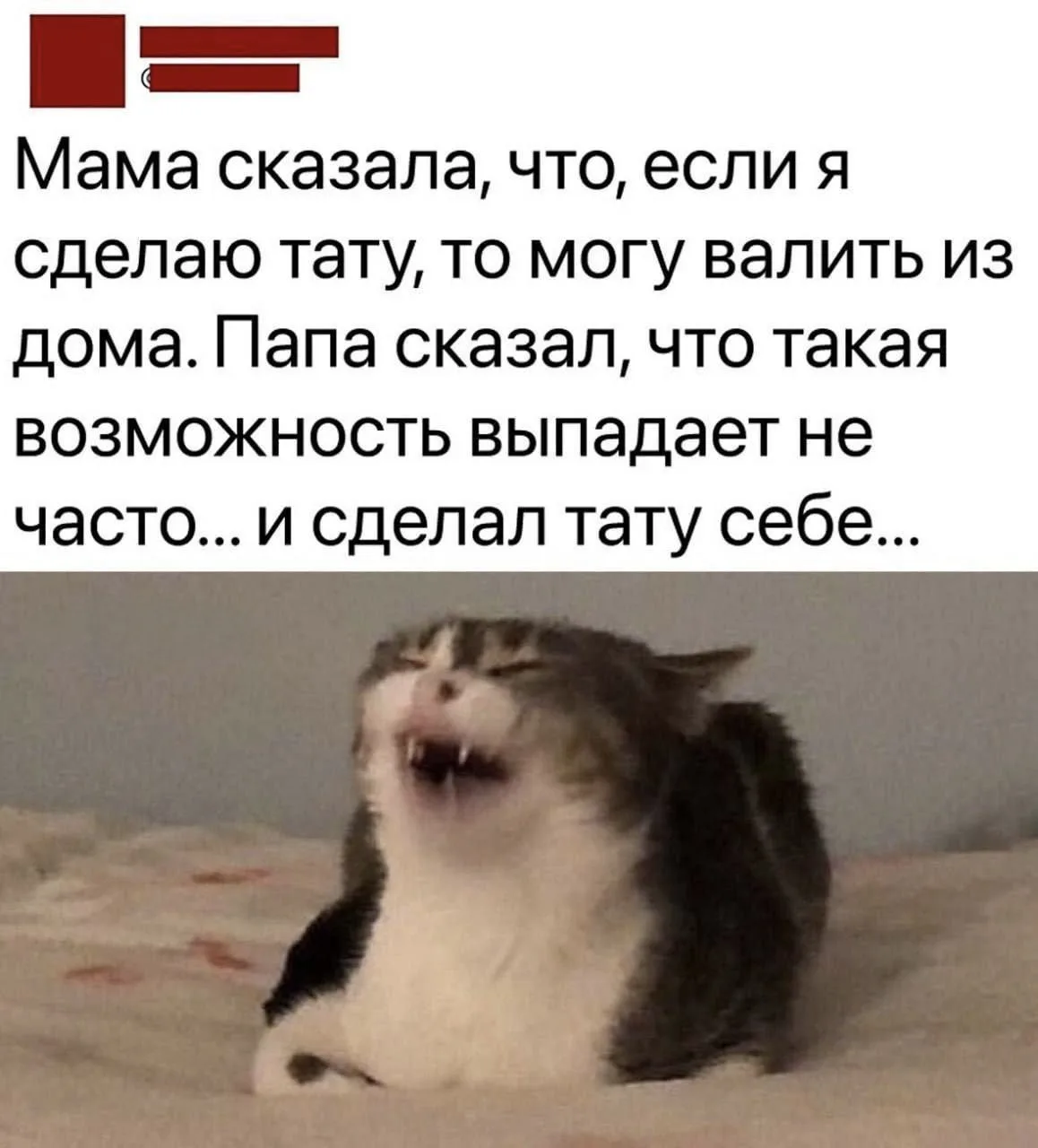 Я девочка, мне можно!