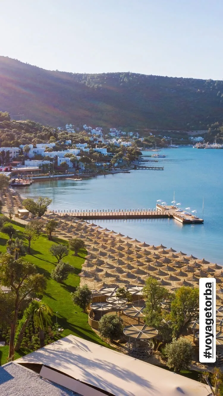 Voyage Torba 5 ⏺ —