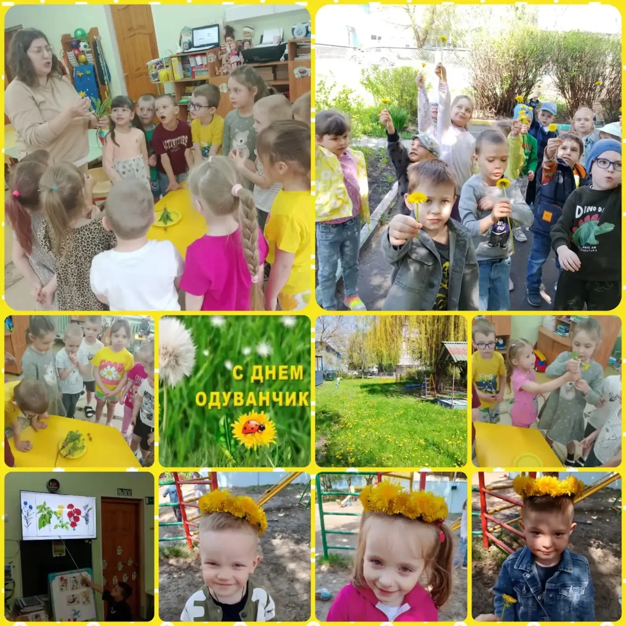 🌼 13 мая — День одуванчика! 🌼