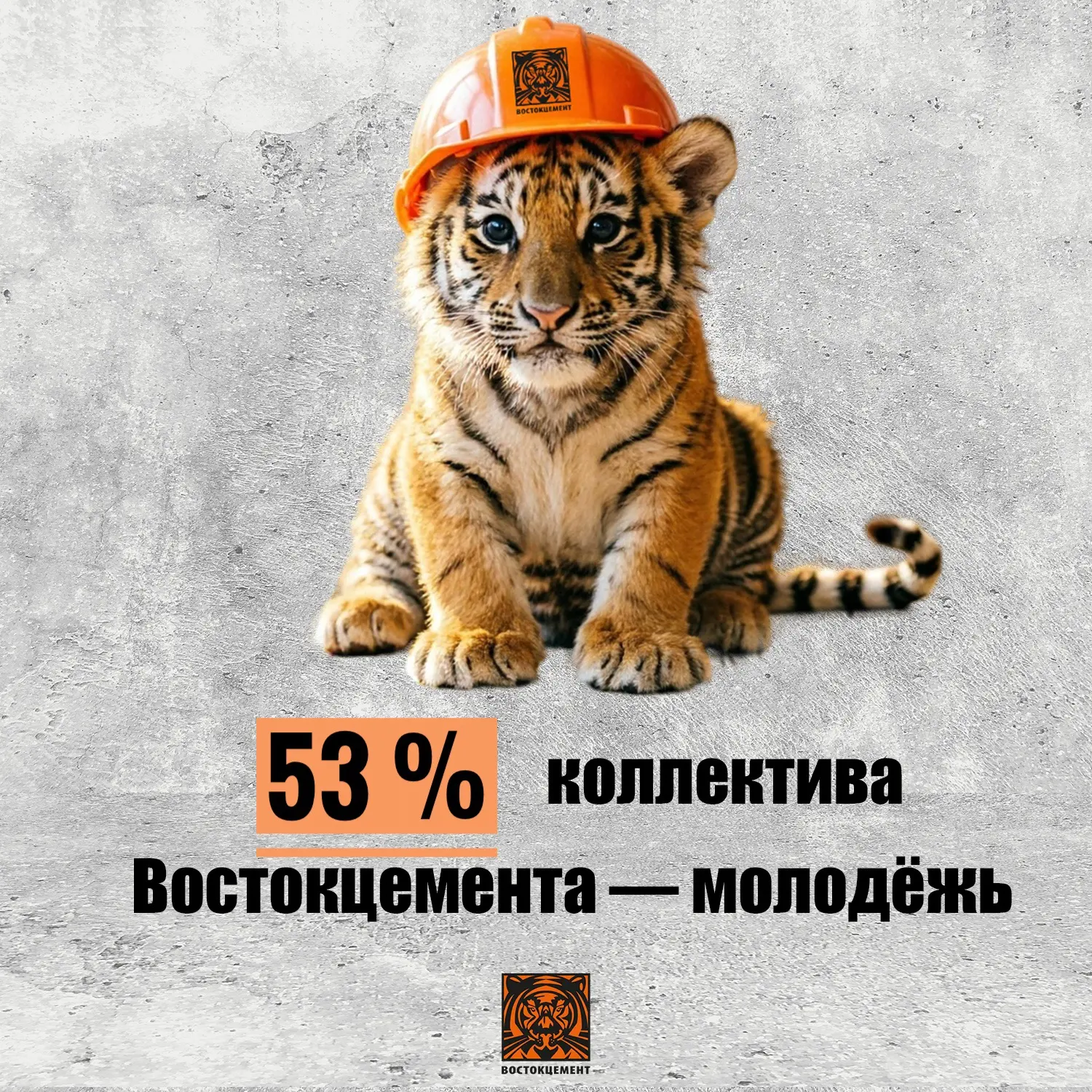 19% наших сотрудников моложе 35 лет, ещё 34% — от 35 до 45.

В России молодёжью считаются люди от 14