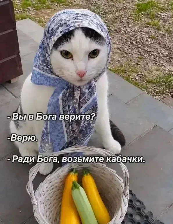 😂😂😂
