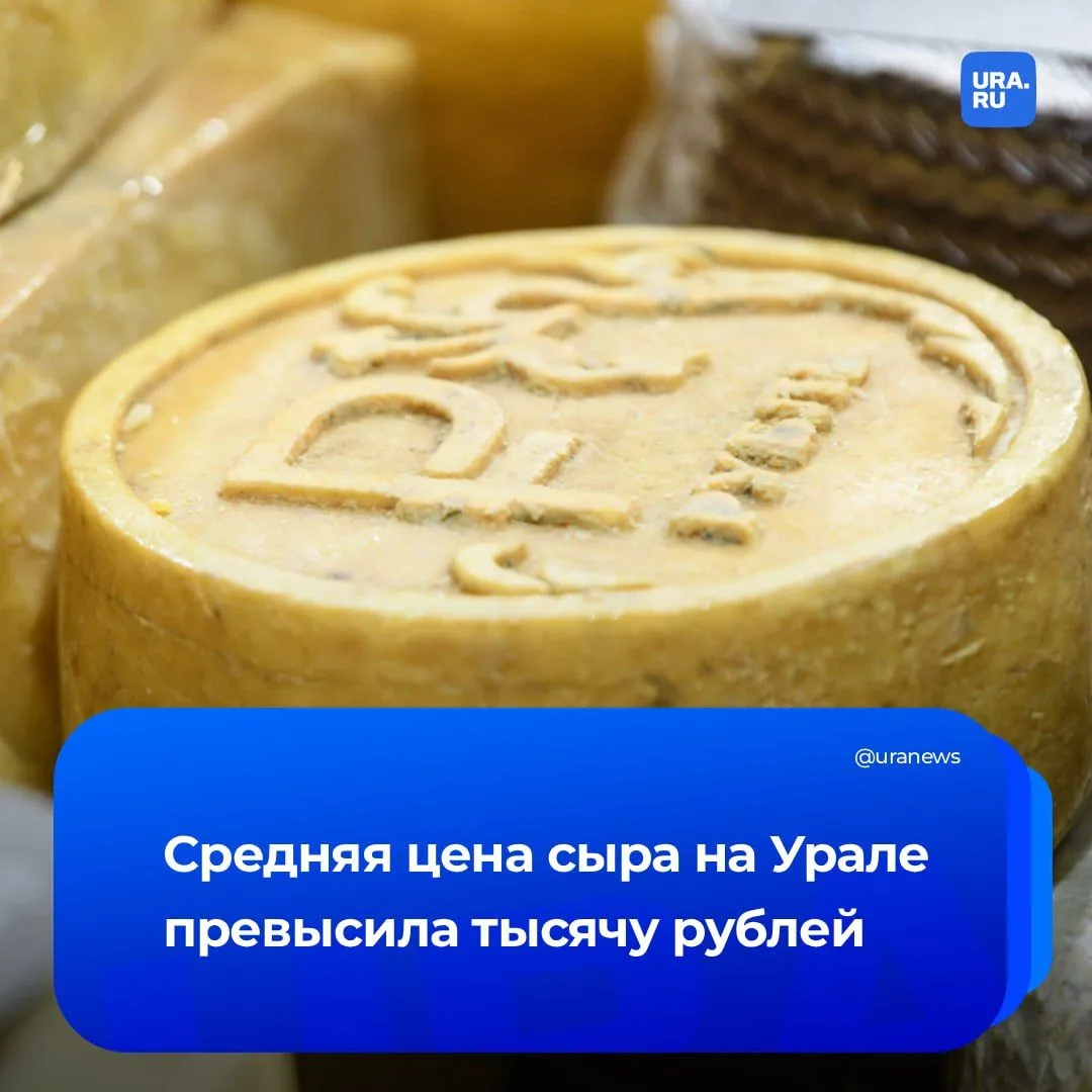 Цены на сыр на Урале достигли четырехзначной отметки  Если в конце 2021 года средняя стоимость таког