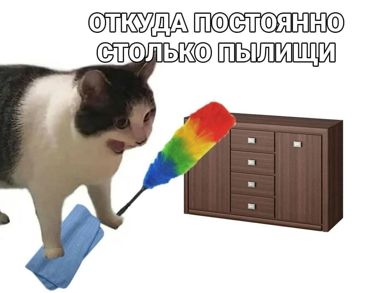 Оказывается, «пипидастр» — это не мемное, а реально существующее слово🌟

Так называют метёлку для с