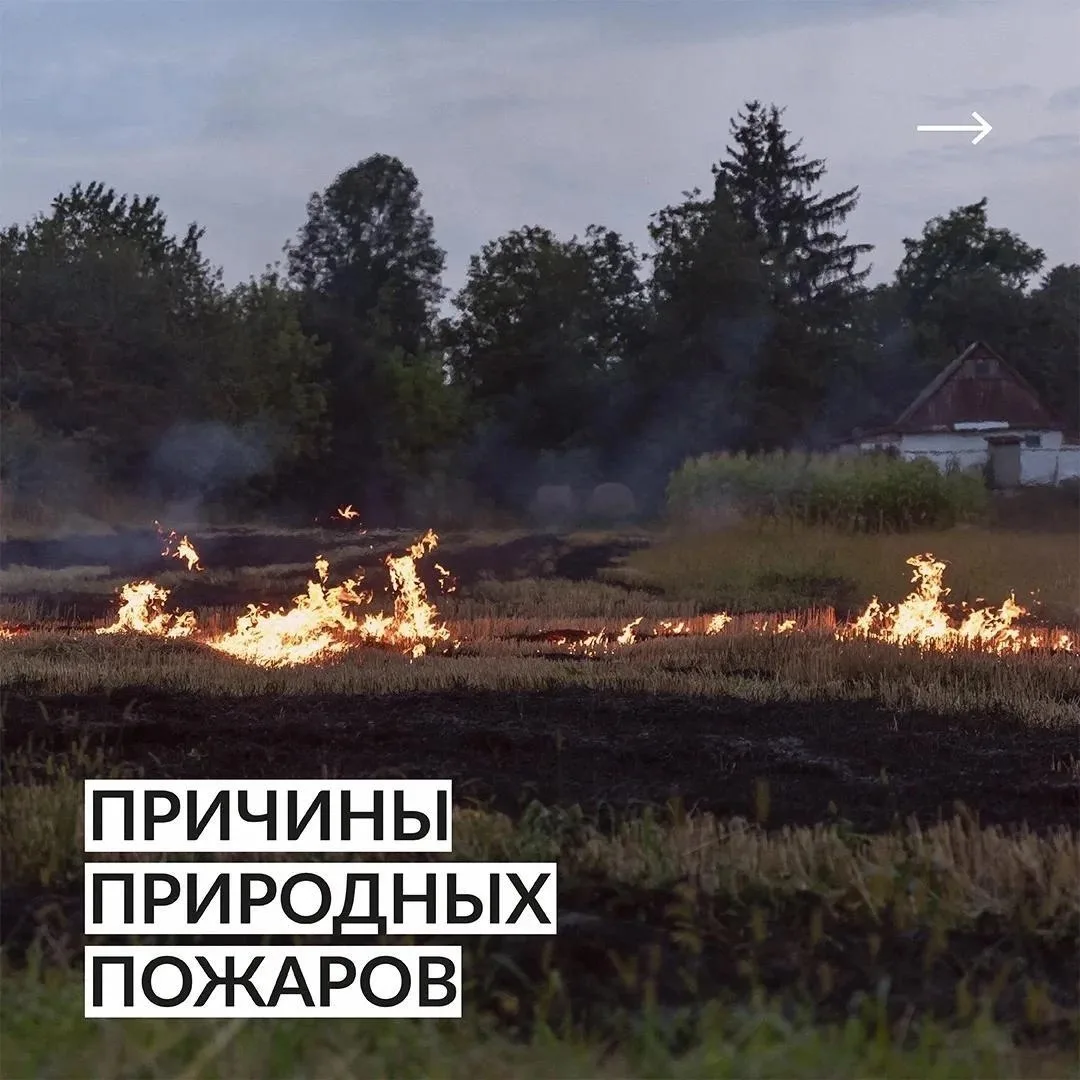 🌲 Лес не прощает ошибок. Разбираем главные причины пожаров.

🔔 В случае возникновения чрезвычайных