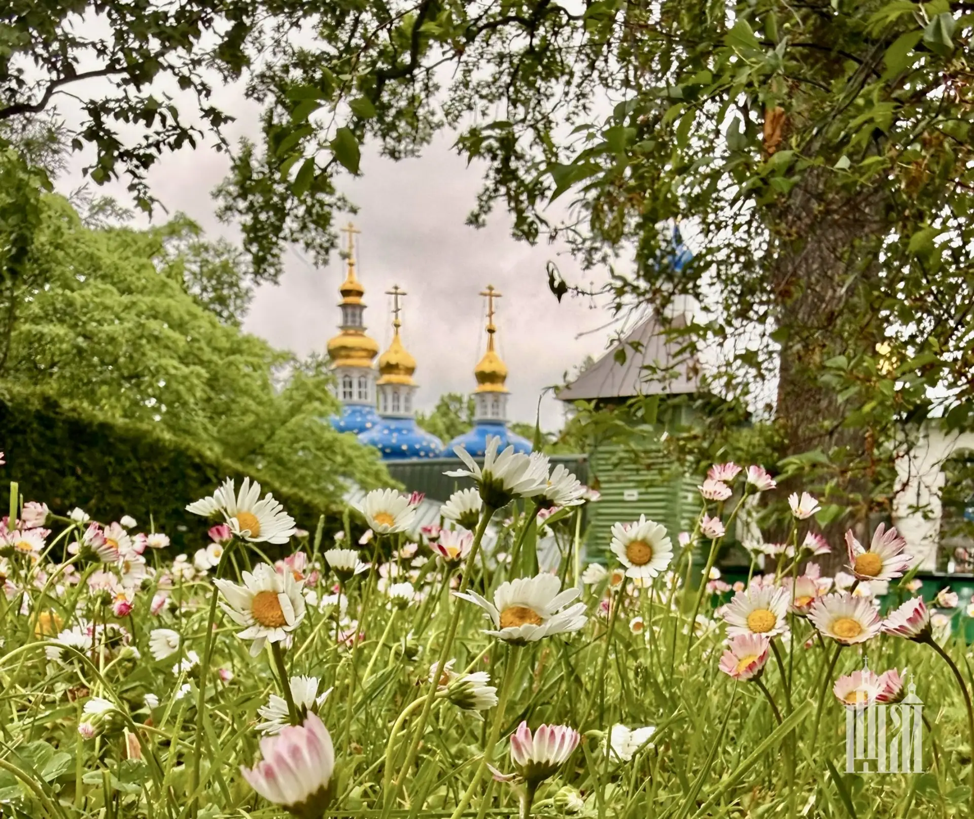🖋️Живите там, где Бог привел, и ничего не затевайте другого. И в монастыре не все спас...