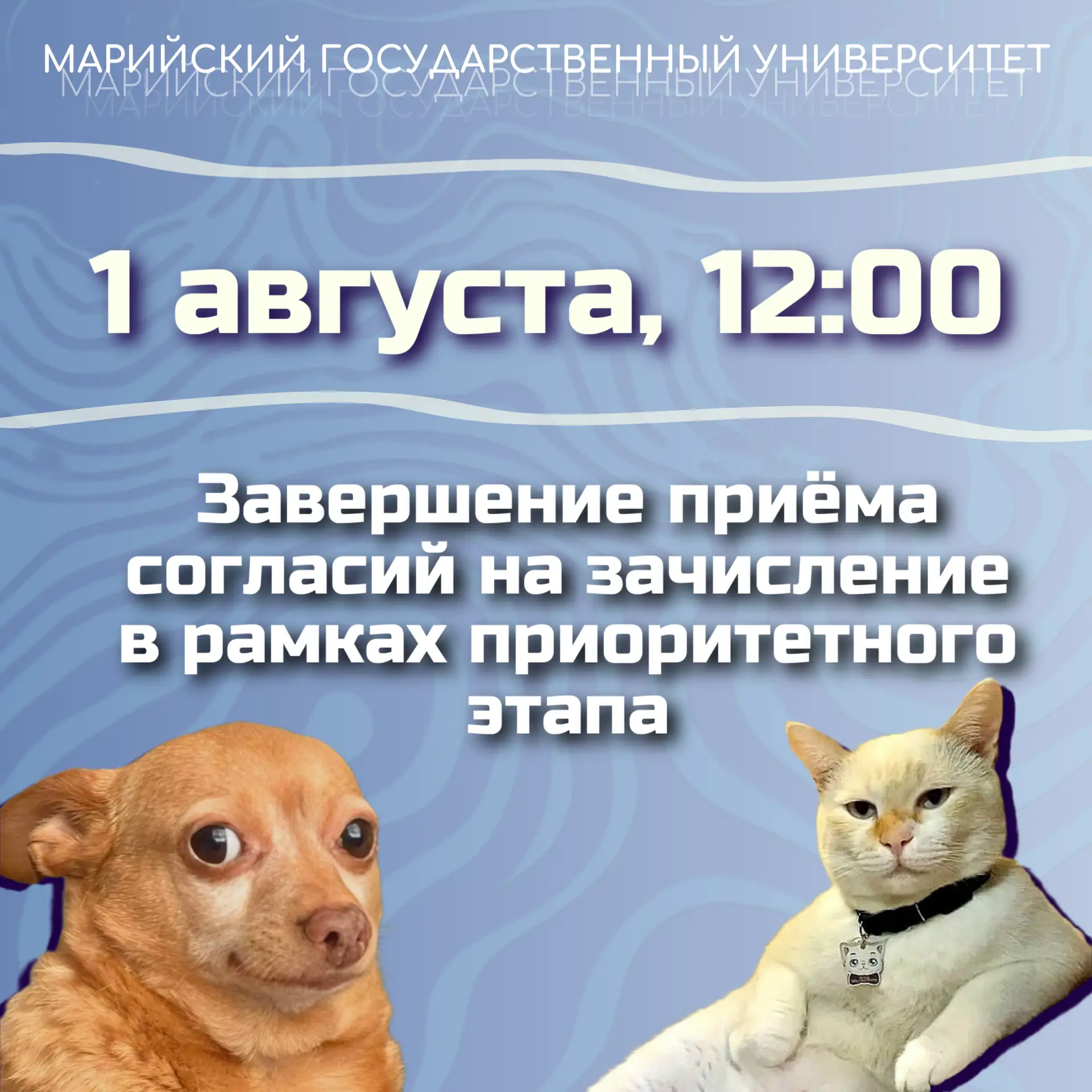 🔥 Абитуриенты, внимание: сегодня последний шанс для тех, кто поступает в рамках приоритетного этапа