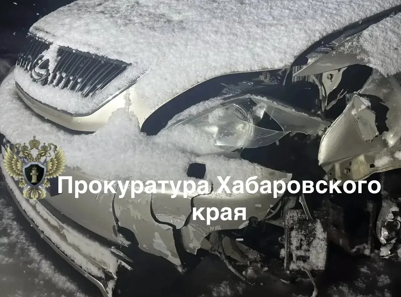 ❗️❗️❗️В Хабаровском крае рассмотрено уголовное дело по обвинению местного жителя в сове...