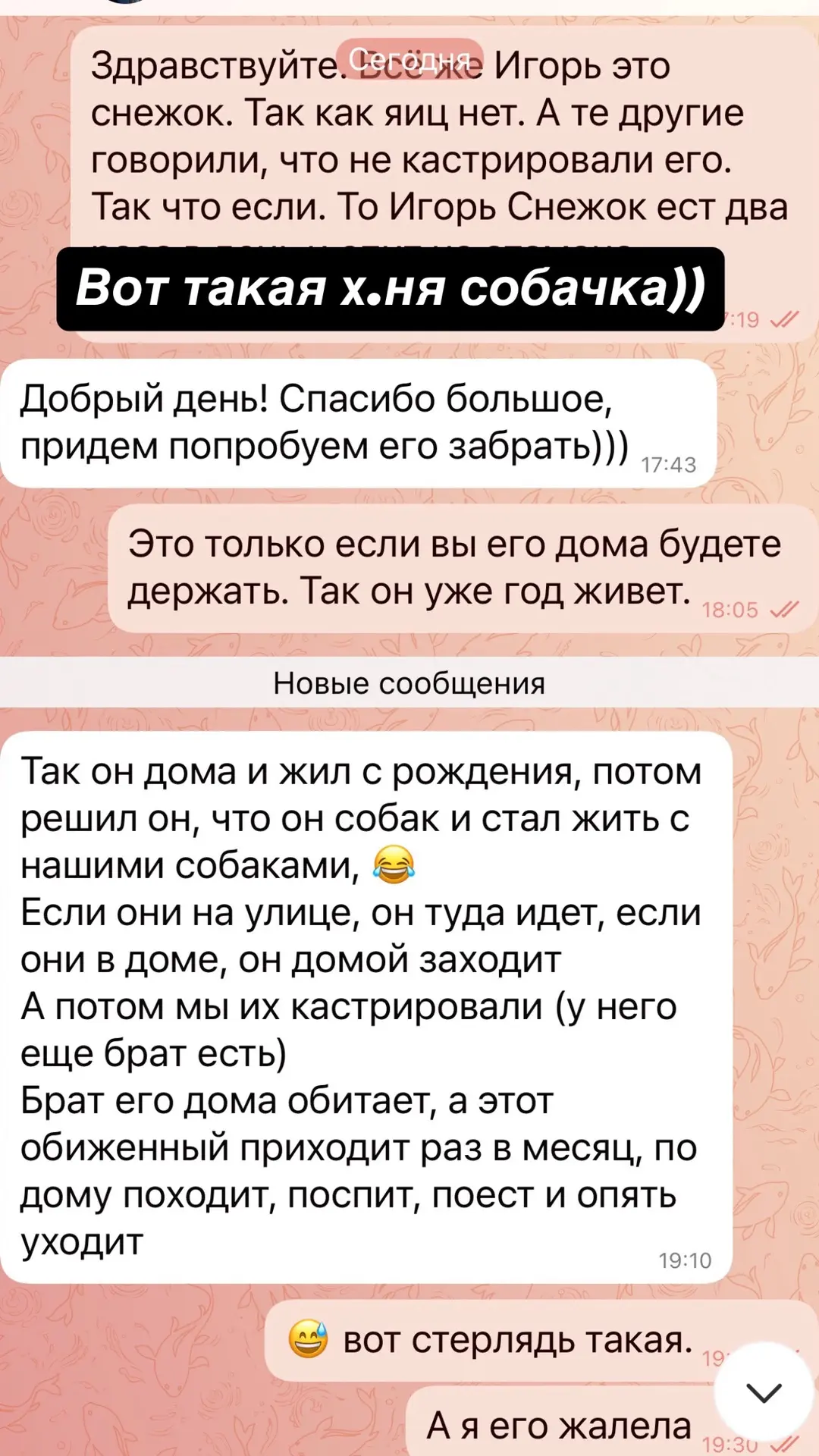 Вот такие дела. Игорь Снежок живет на соседней улице и очень удачно всех использует)))