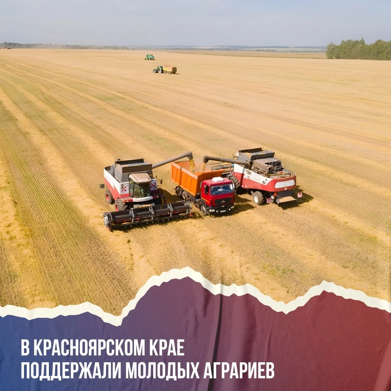🌾 Красноярский край поддерживает молодых аграриев