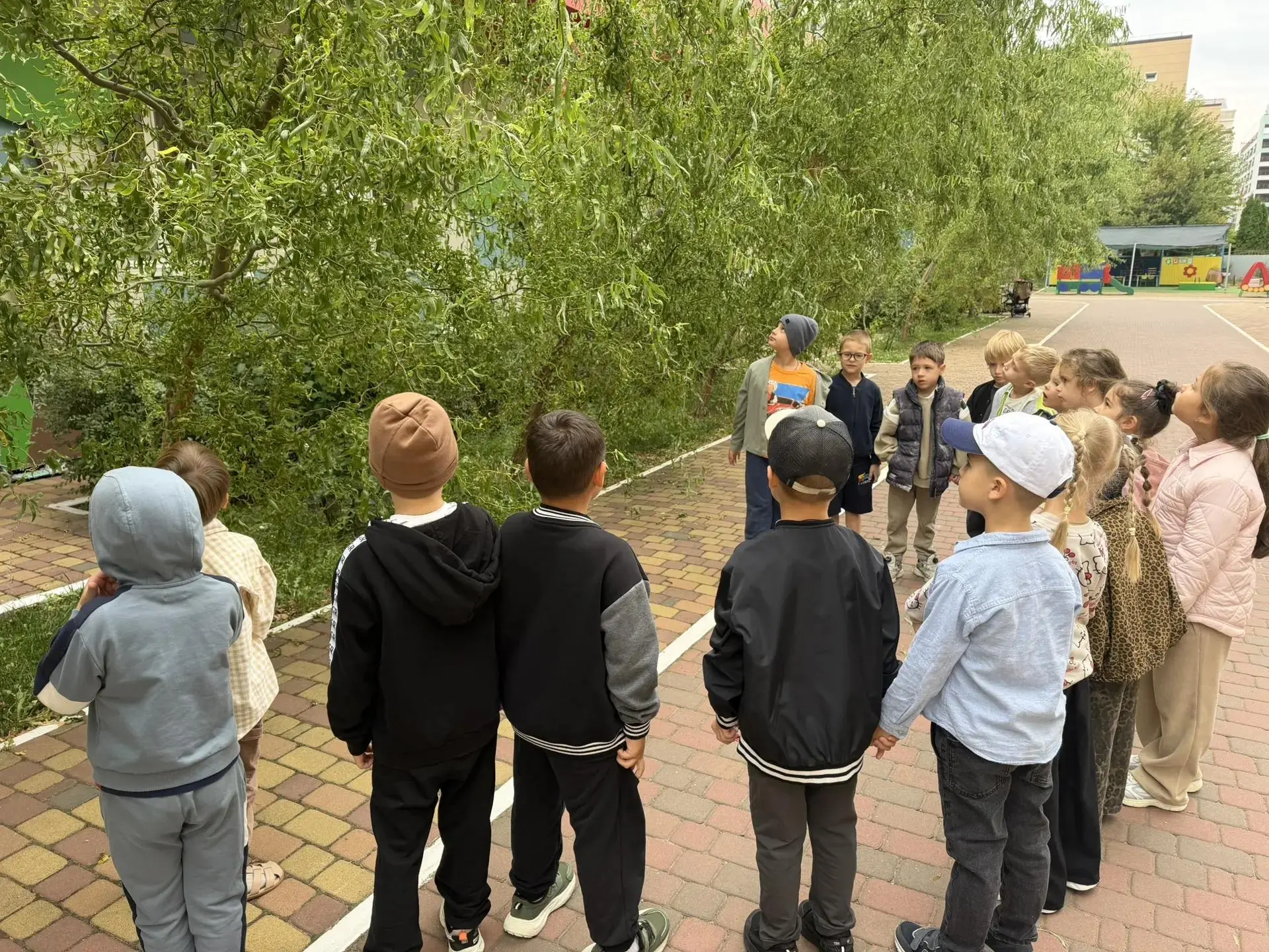 В МАДОУ МО г. Краснодар "Центр-детский сад Nº189" в подготовительной группе «Зайка" про...