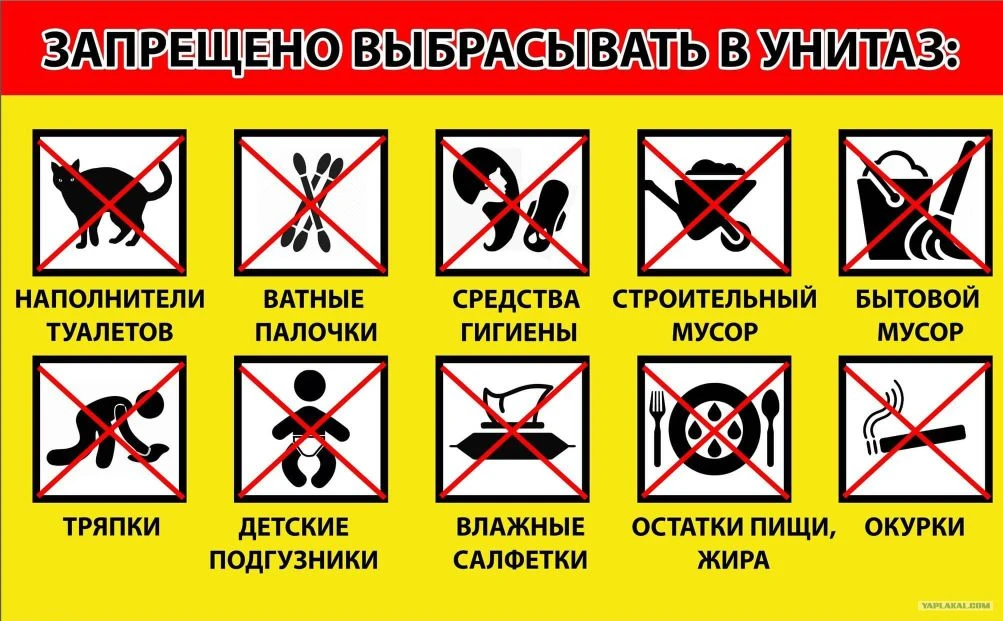 Унитаз — это не мусоропровод. Что происходит, когда мы об этом забываем? 😨