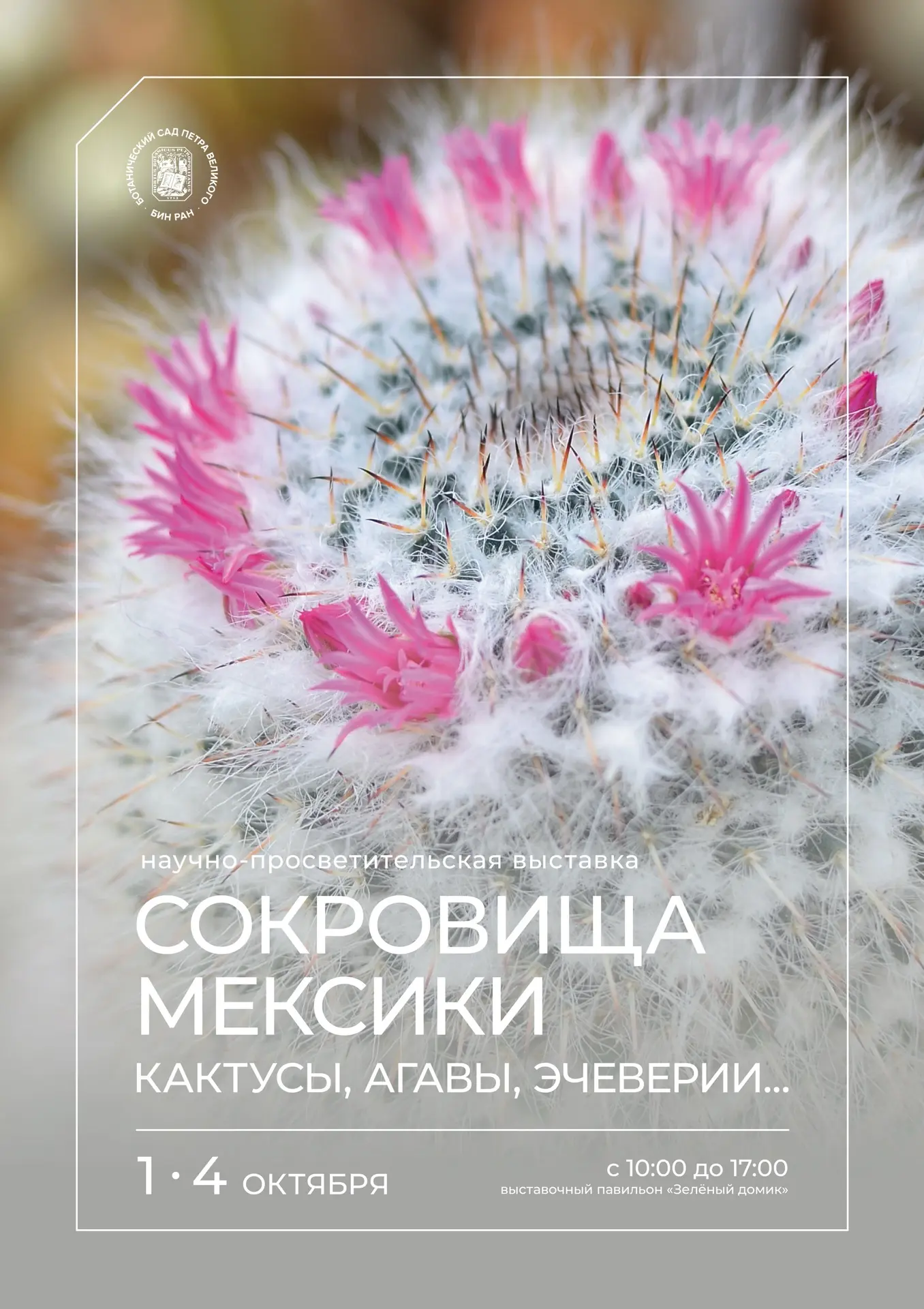 Выставка суккулентов «Сокровища Мексики: кактусы, агавы, эчеверии…».
