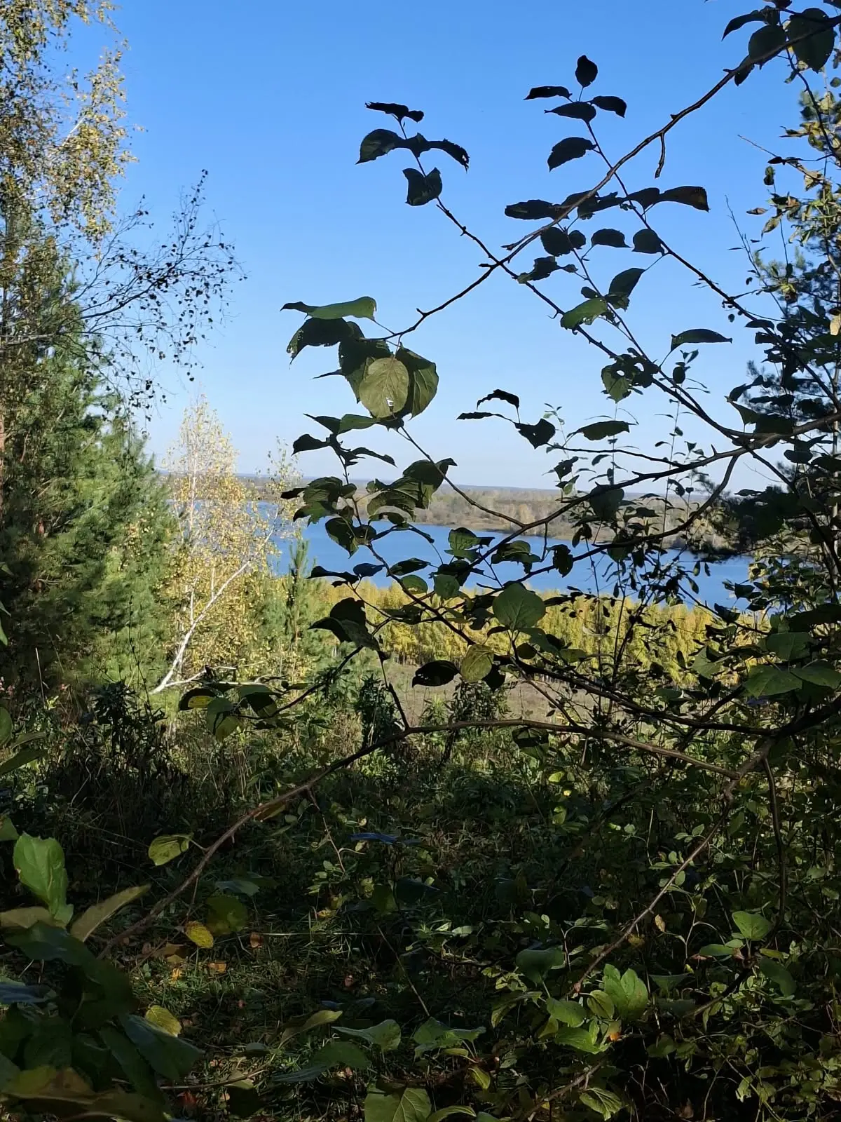 Матур Актаныш 💚
