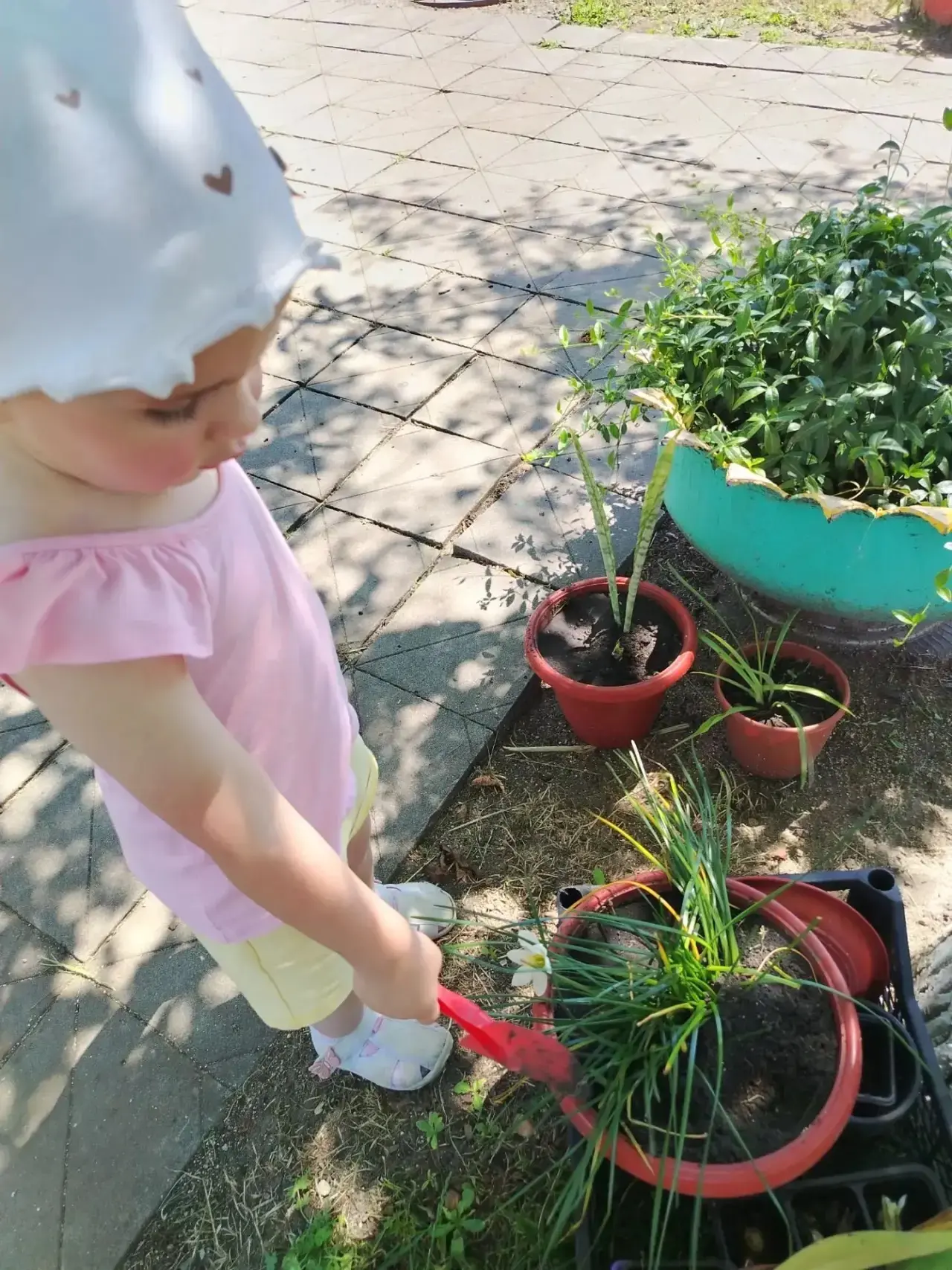 Трудовое воспитание на прогулке в детском саду 🧹🌿