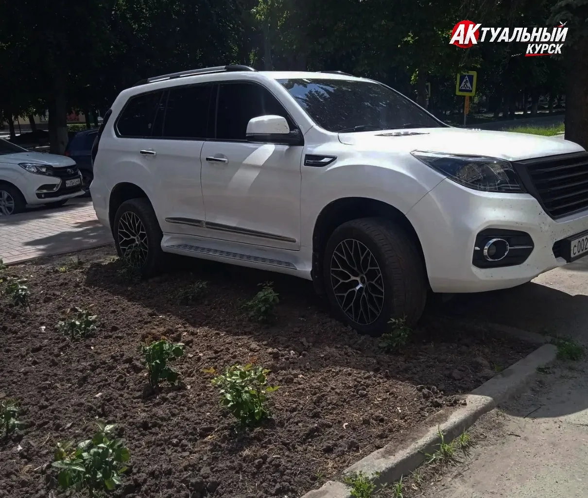 Дорогая иномарка в Курской области размазала по земле высаженные розы, которые даже не успели расцве