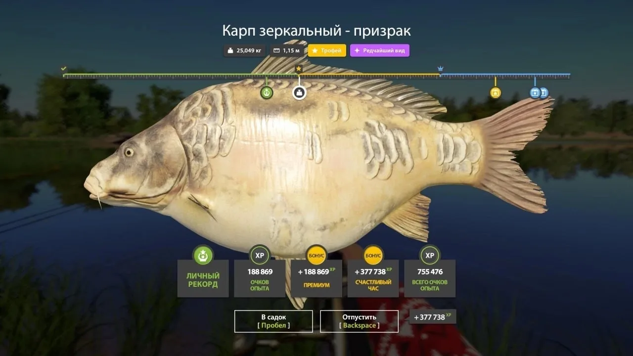#янтарное@pp4wikipedia