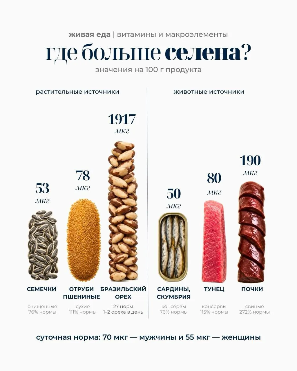 Селен — один из ключевых микроэлементов: он защищает клетки от окислительного стресса, ...