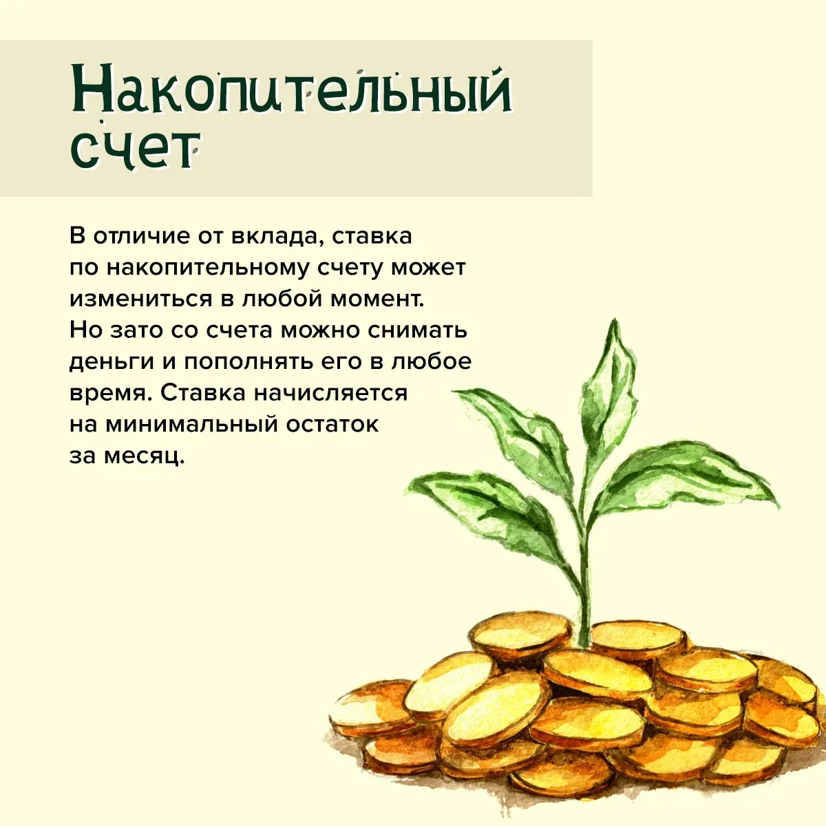 Информация по финансовой грамотности