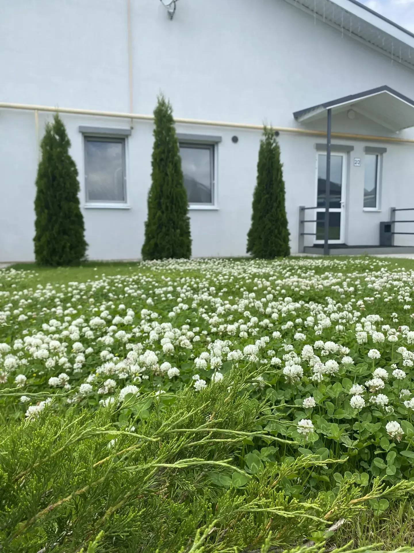 Доброе утро! 🌿

За окном дождь, но это не повод расстраиваться. У нас всегда тепло и уютно.

Пар мя