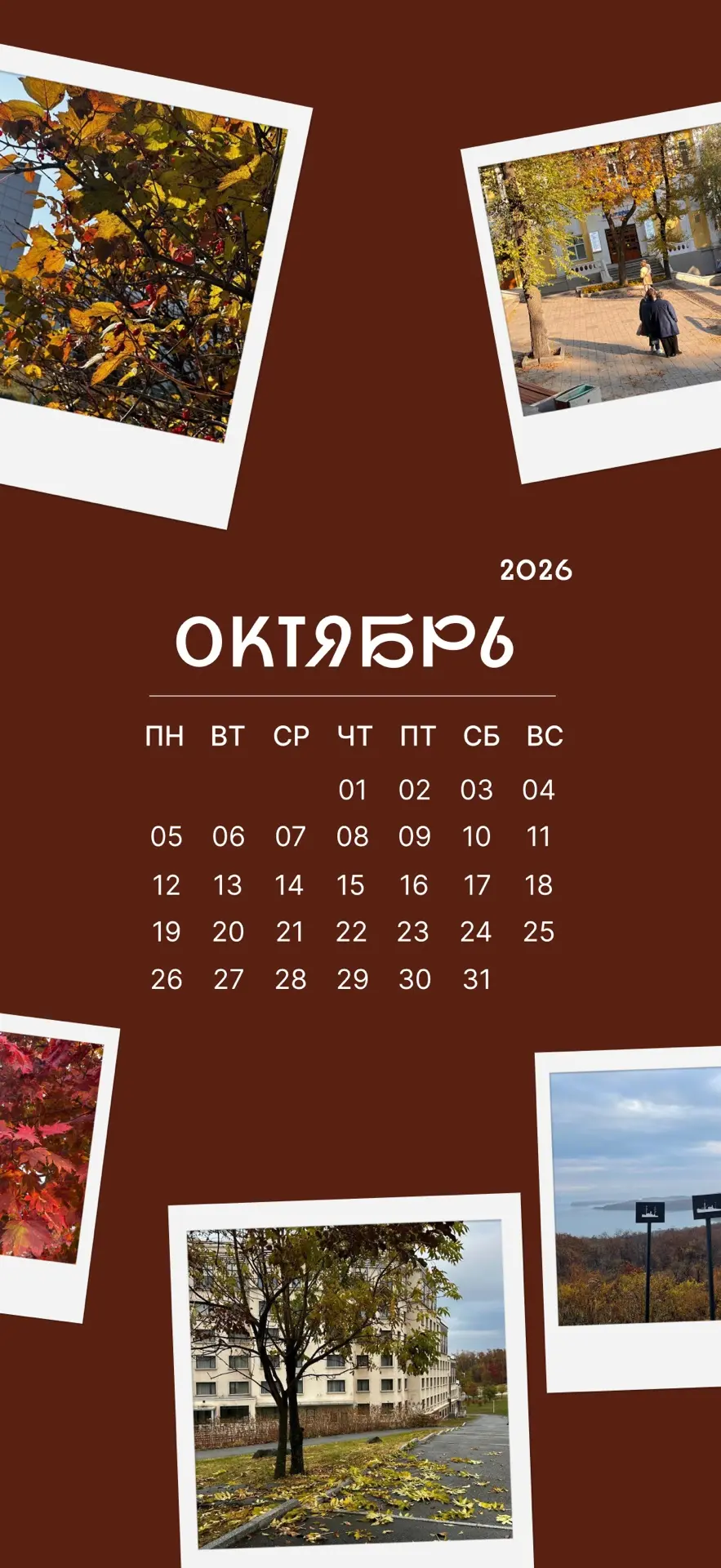 🍂 Октябрь на твоем экране: новая порция осеннего настроения!