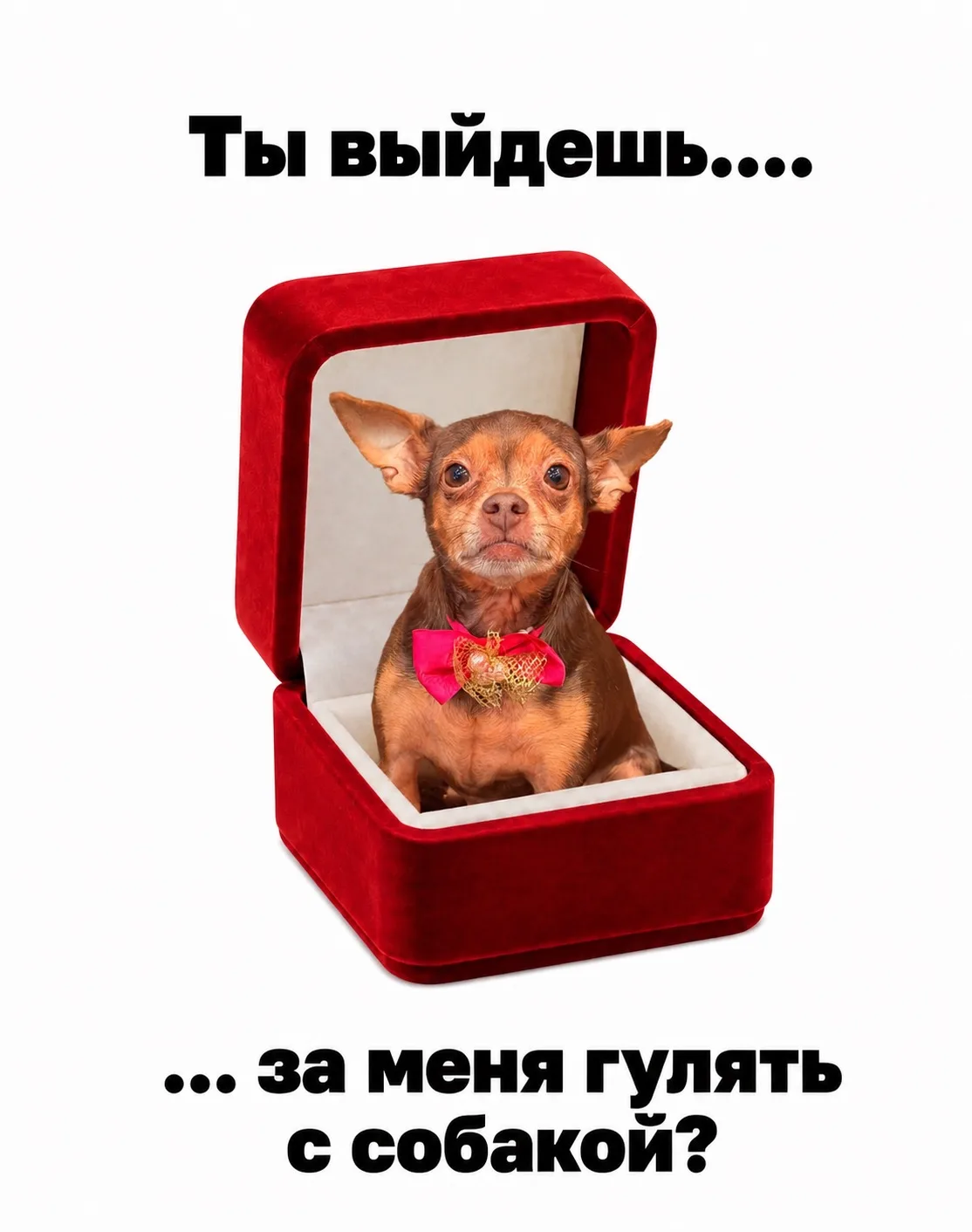 Доброе утро