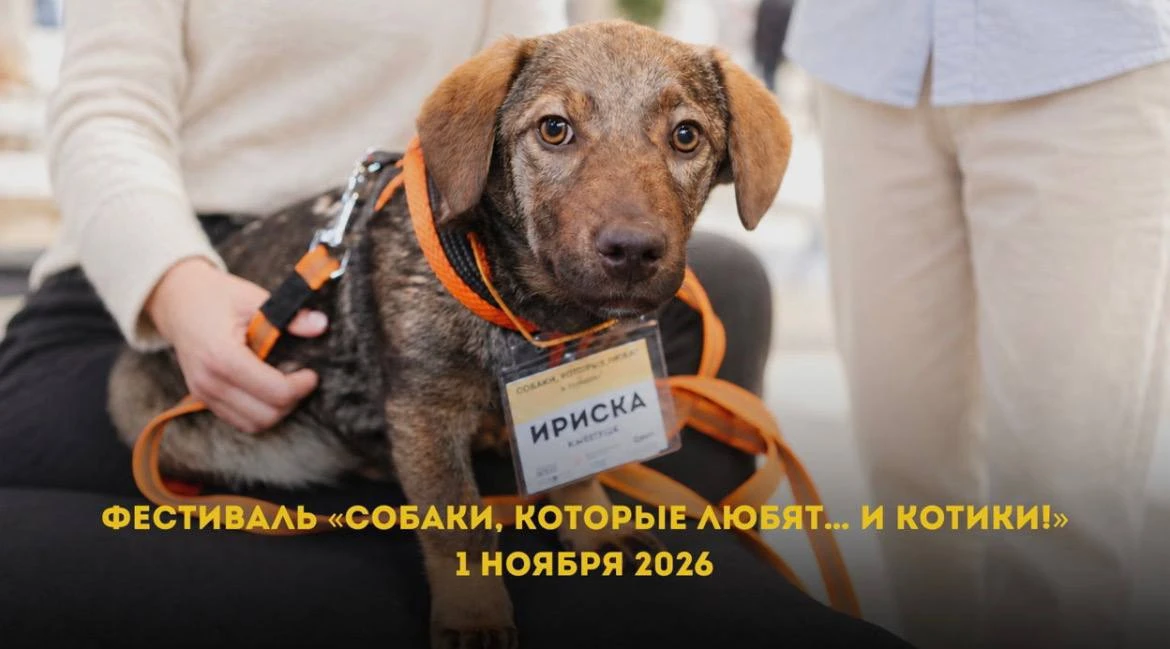 🐕 Фестиваль «Собаки, которые любят... и котики!» в Графите