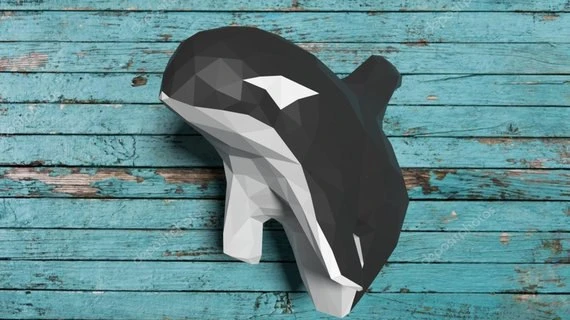 📚 Касатка | Killer whale