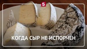 Сырная интрига: почему таинственный налет на вашем пармезане — это повод для радости
