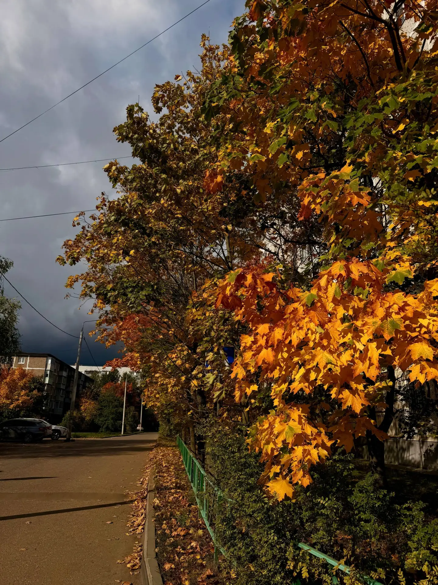 Осень в городе 🍂