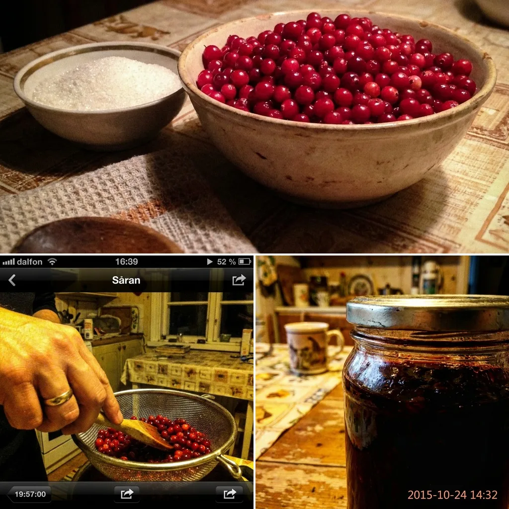 🔴 ЖЕЛЕ ИЗ БРУСНИКИ

Прозрачное рубиновое желе с горчинкой — к мясу, дичи, сырам, к чаю. Брусника бо