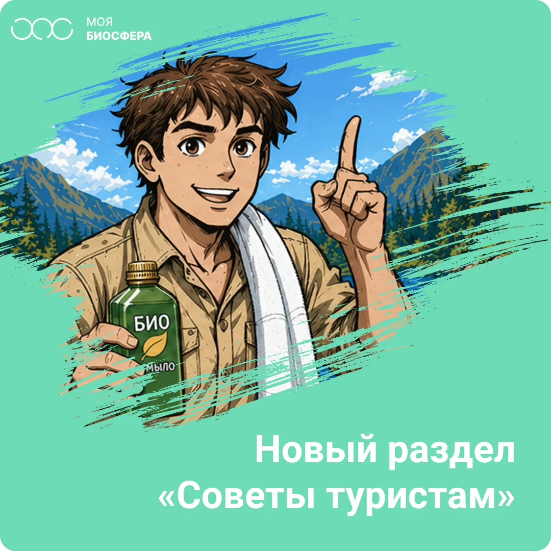 👍 Друзья, у нас отличные новости!
