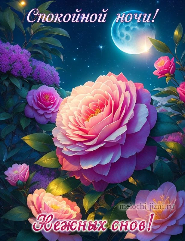 Доброй ночи! Чудесных сновидений! До завтра! ✨🌙