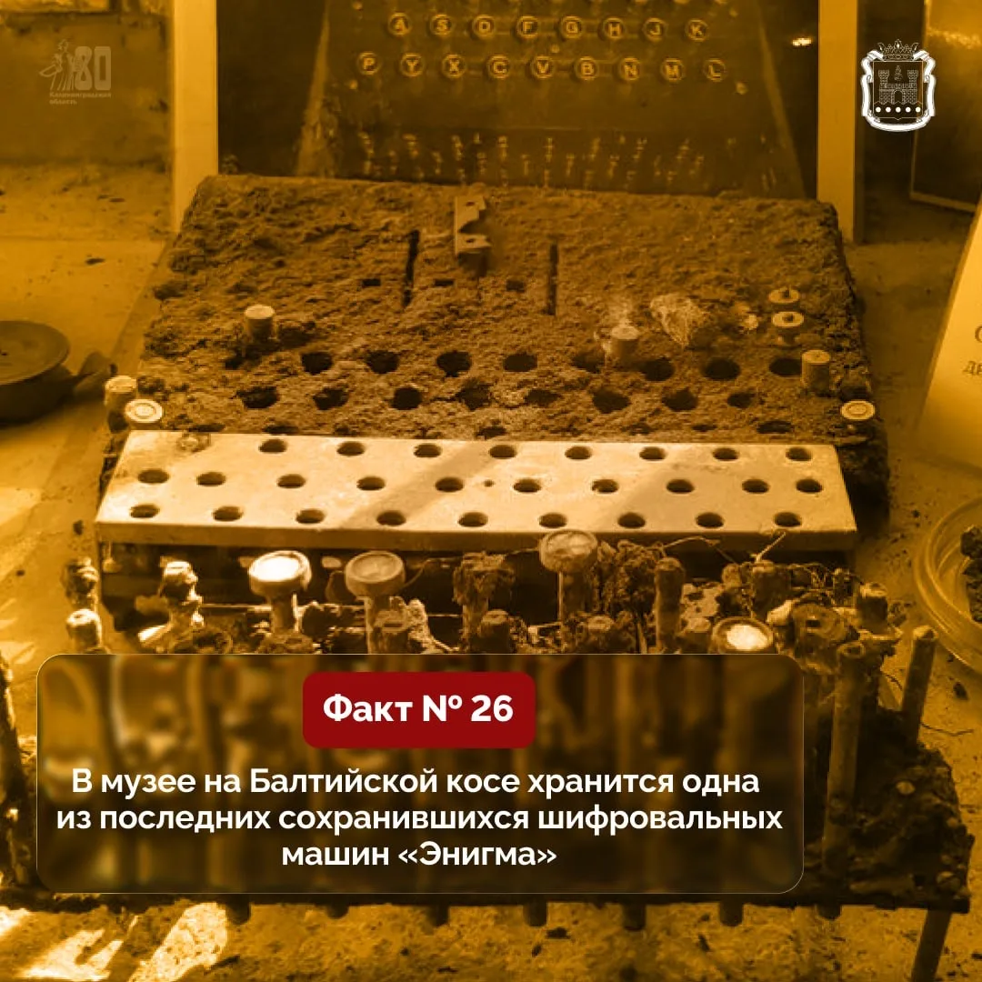 В музее «Старый Люнет» собраны карты, чертежи, фотографии и документы времён Великой Отечественной в