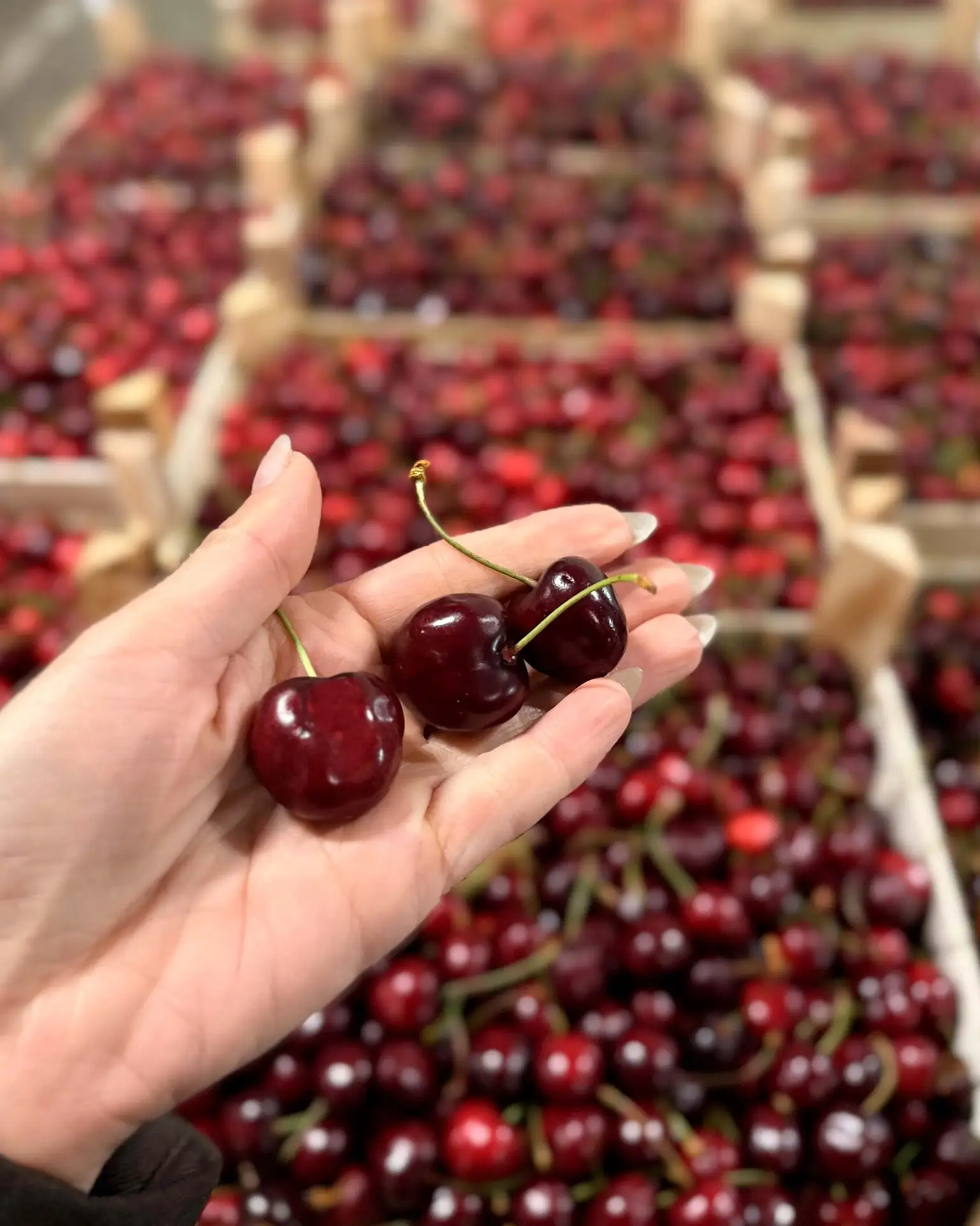 Раз, два, три — черешню сладкую бери 🍒