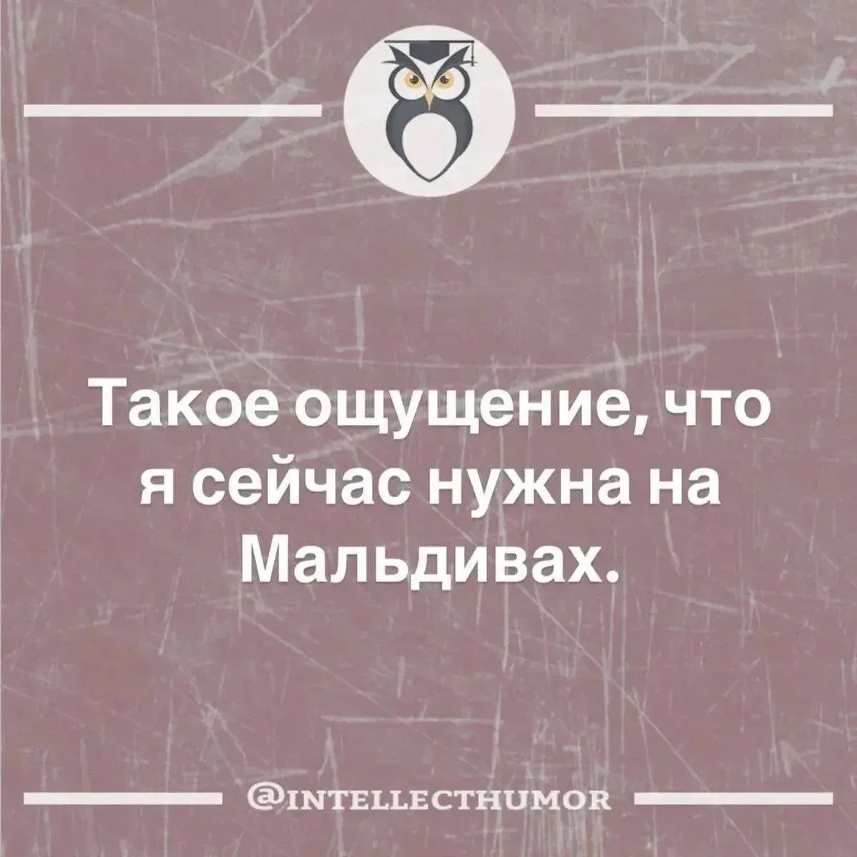 🤣😅