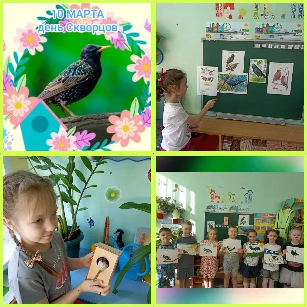✨День скворца 🐦