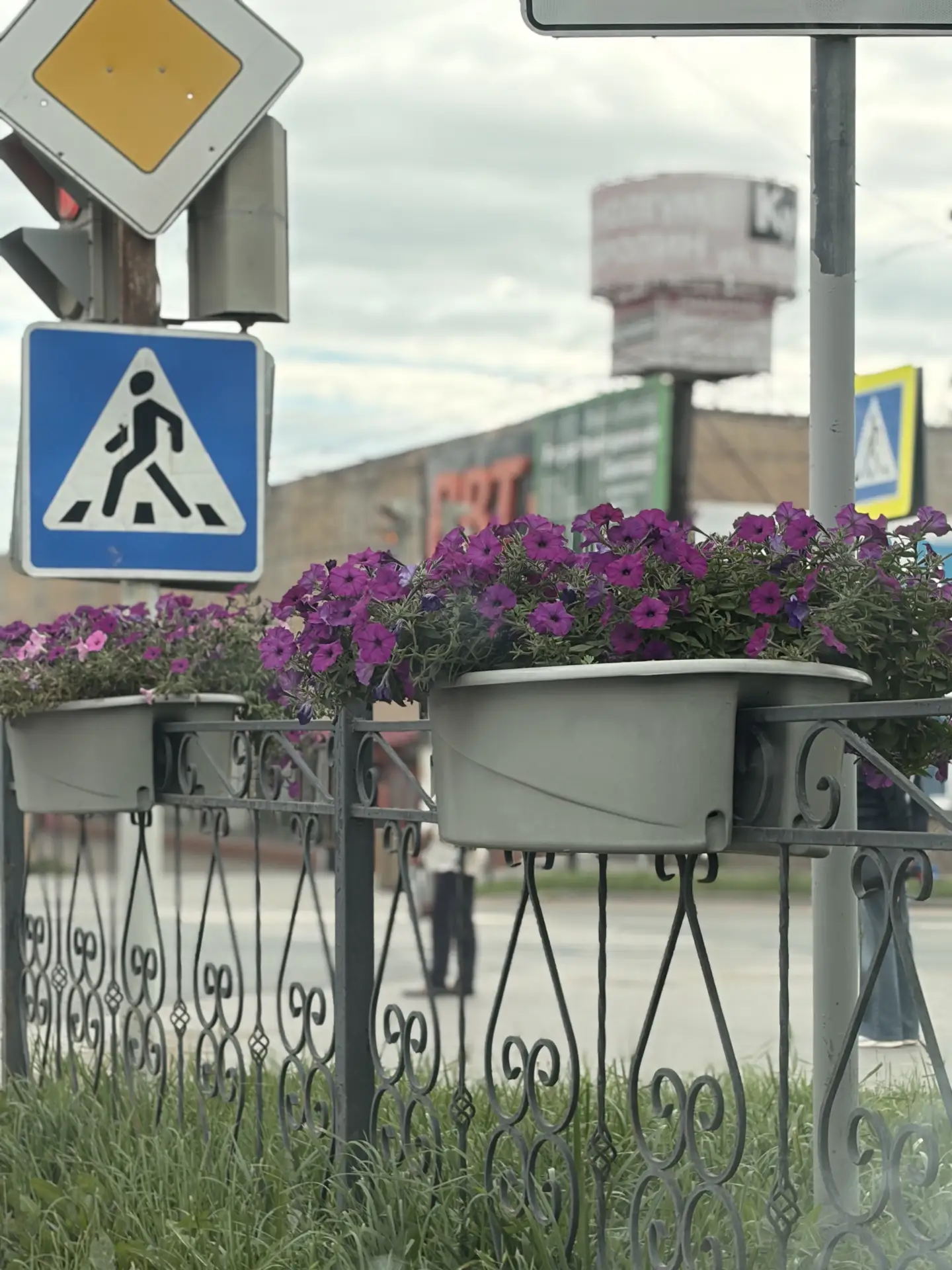 ⚡️⚡️ Пасмурно, до +19 сегодня в Можге