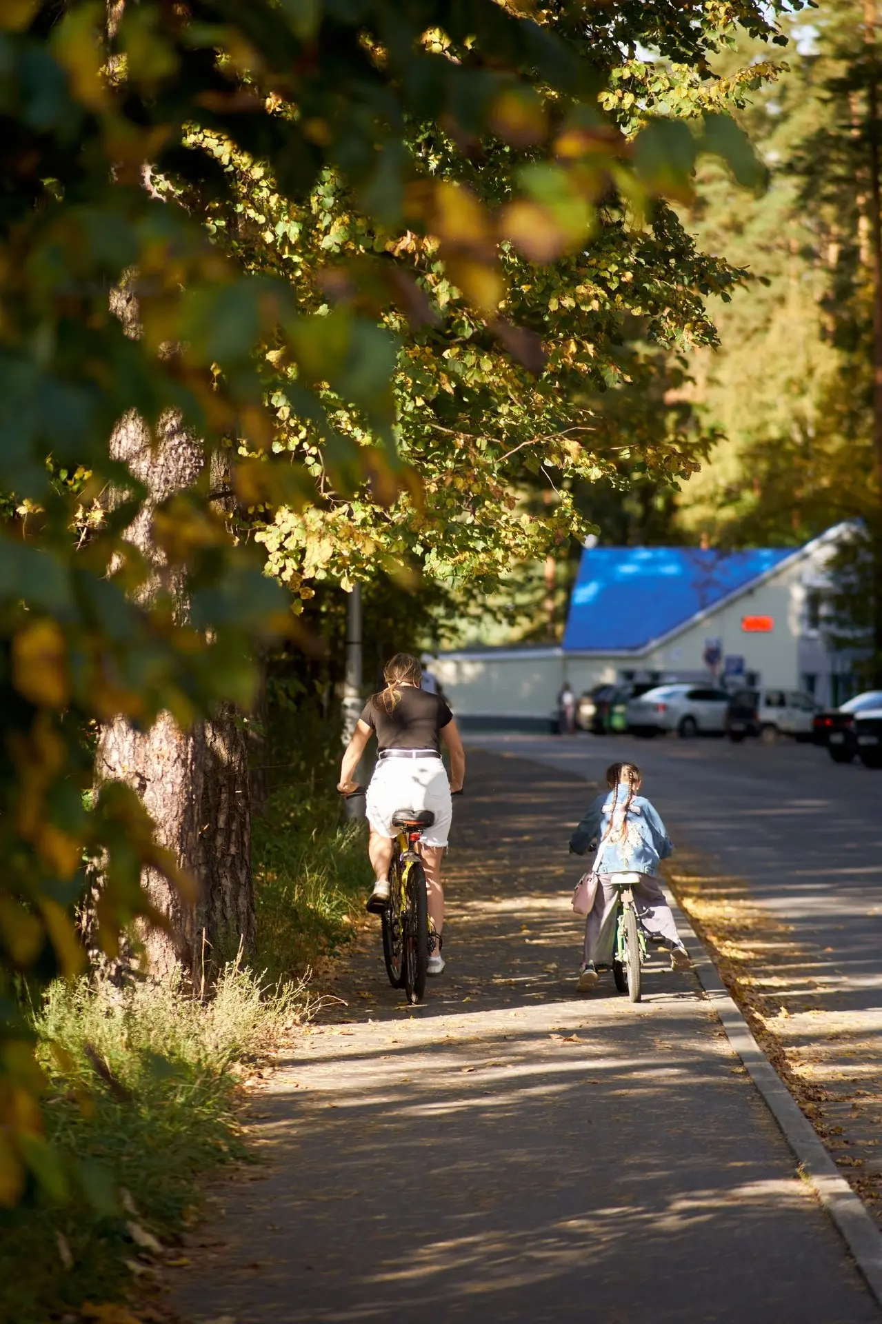 Золотая осень в Сарове. Кстати синоптики обещают на следующей неделе теплую погоду