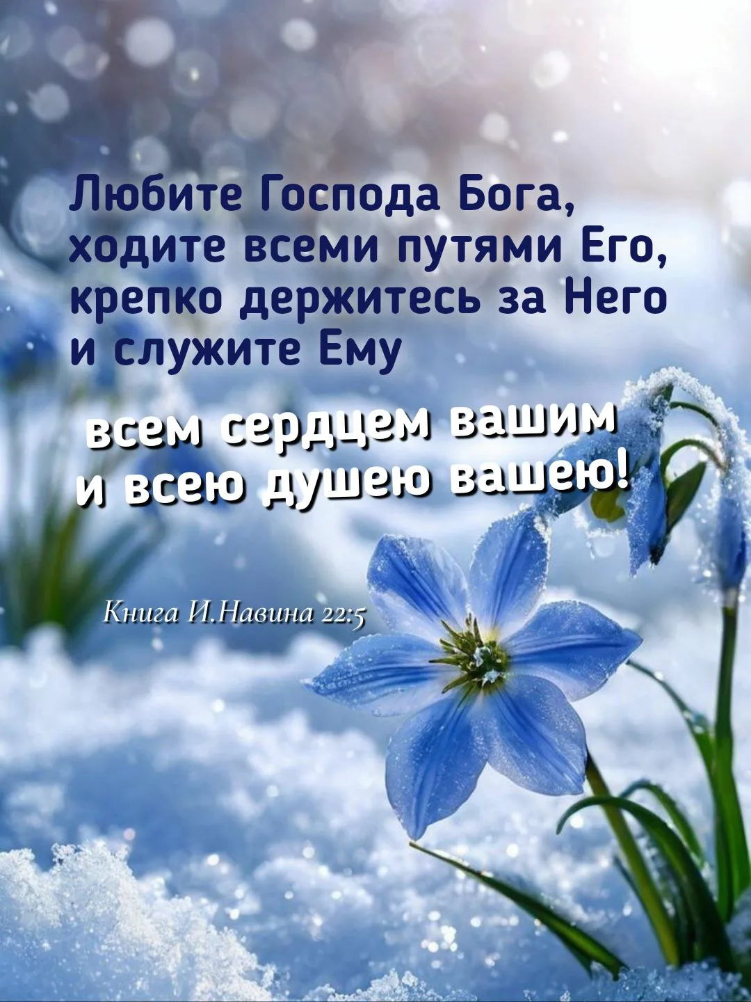 Пусть Божья любовь согревает вас 🙏
