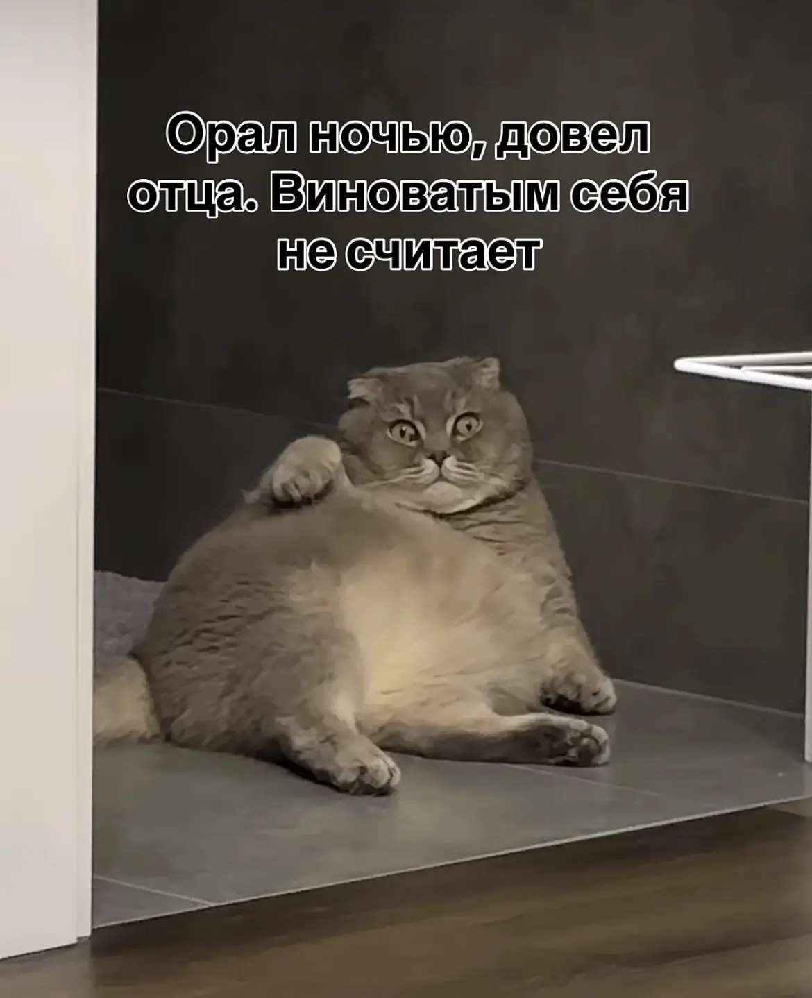 Когда все идет по плану 😅