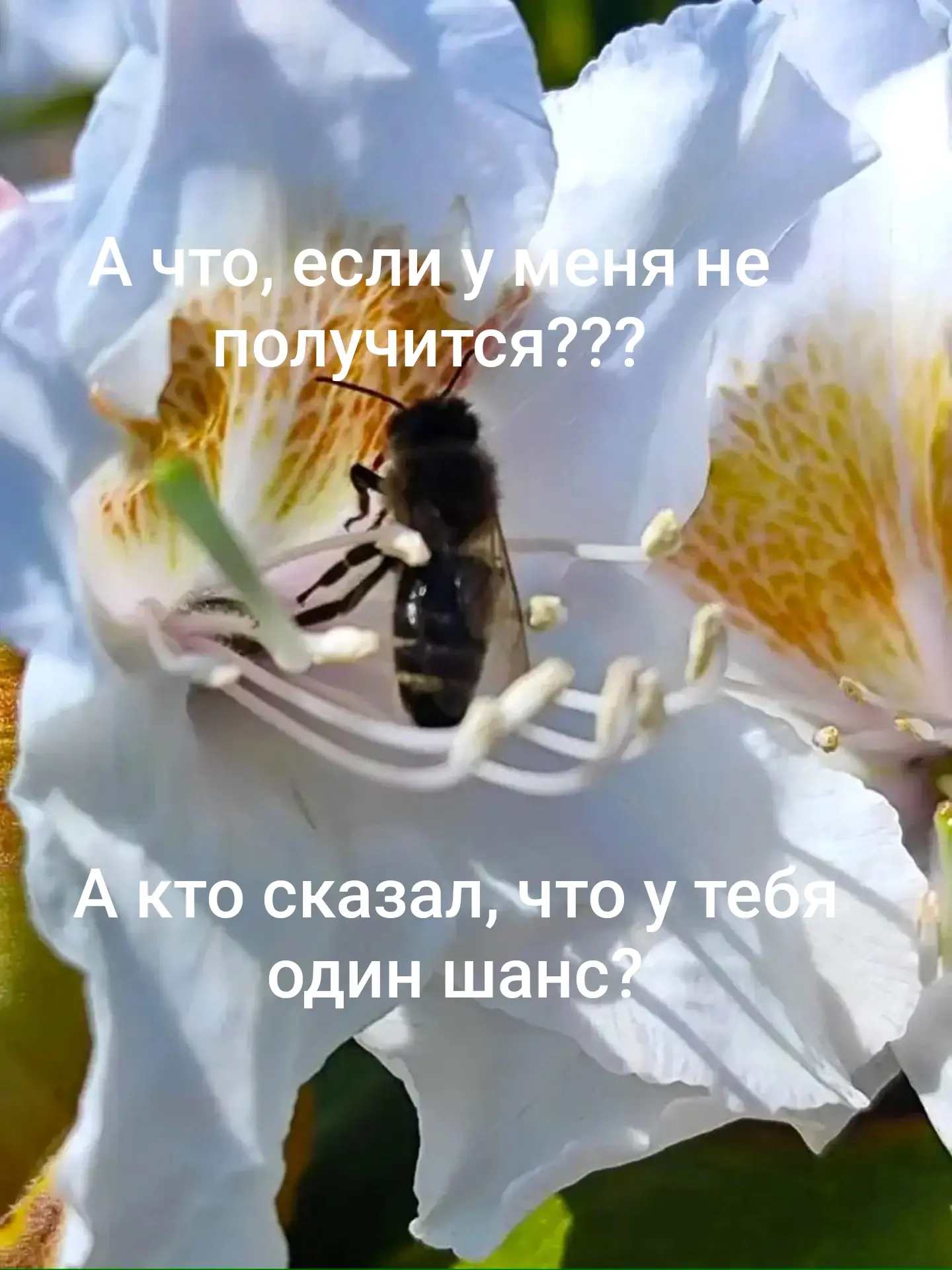 Пиши СТАРТ и присоединяйся