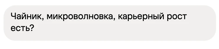 Никогда не мог представить себе чайник и микроволновку в одном предложении с карьерным ...