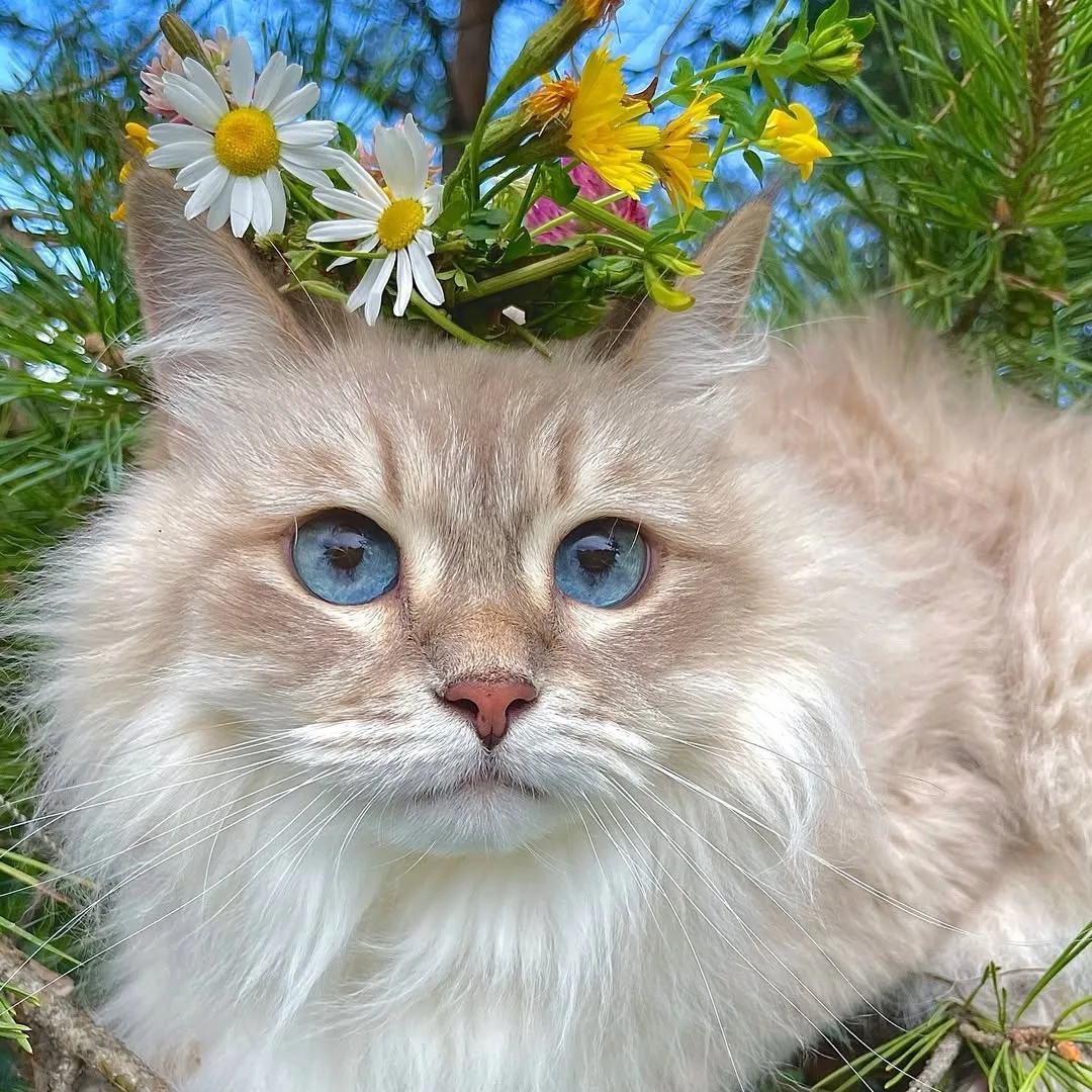 Когда ты – самый красивый цветочек🌸