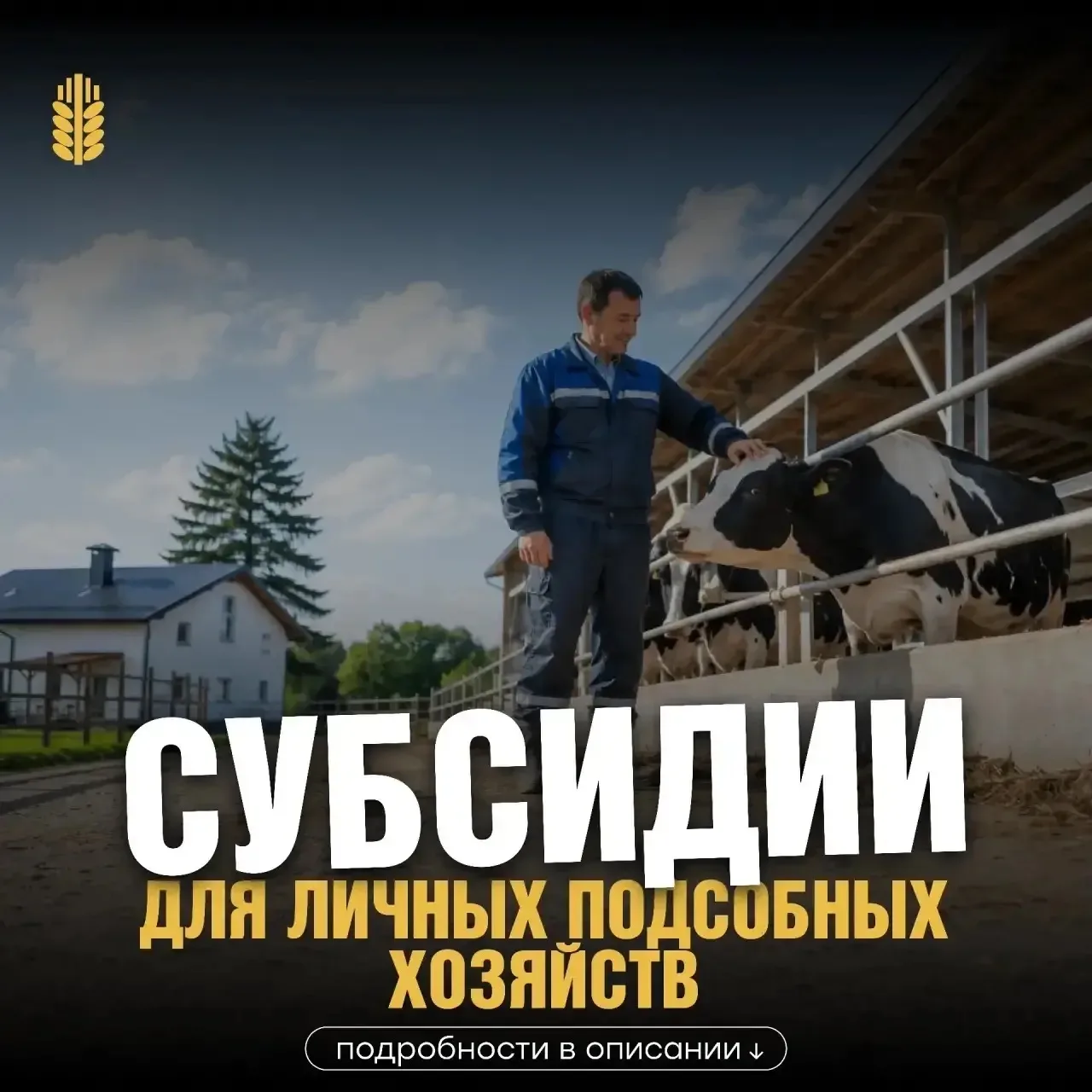 Минсельхозпрод РТ объявляет второй этап приема заявок на субсидии для ЛПХ

С 17 по 28 июня 2026 года
