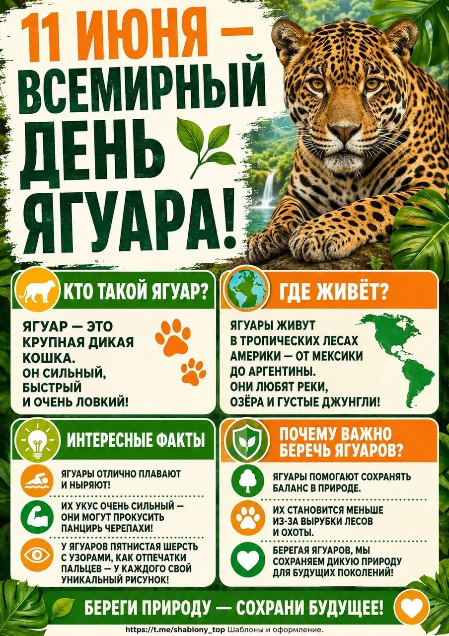 Информационный плакат «11 июня - Всемирный день ягуара» + раскраски 🐆