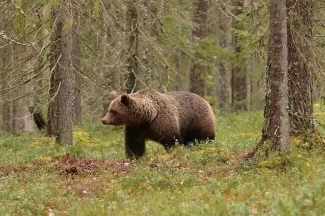 ВНИМАНИЕ!