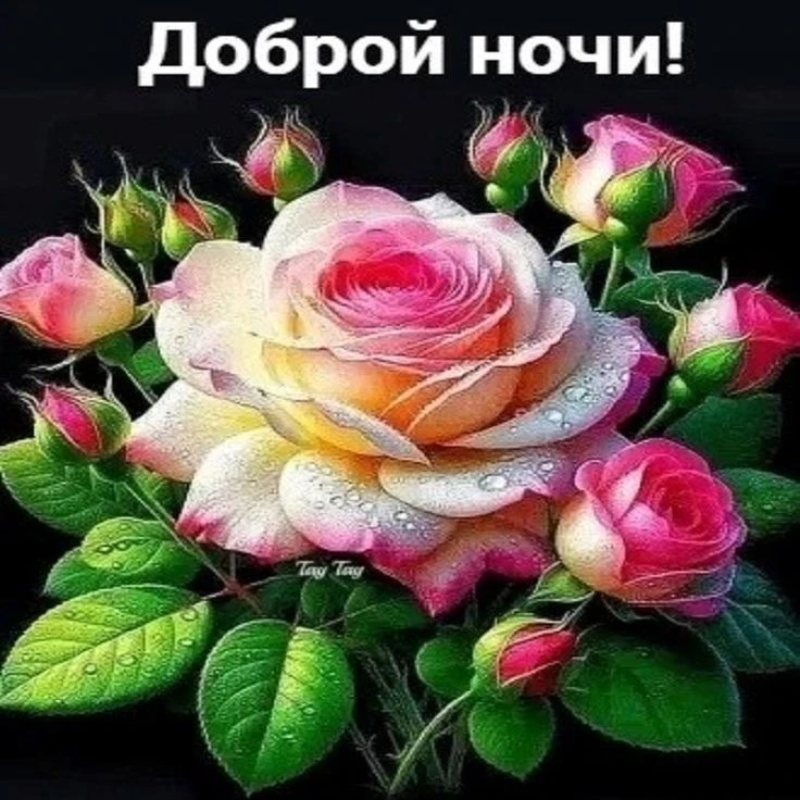 Больше открыток тут👇
КРАСИВЫЕ ОТКРЫТКИ
Не забудьте подписаться 🥰