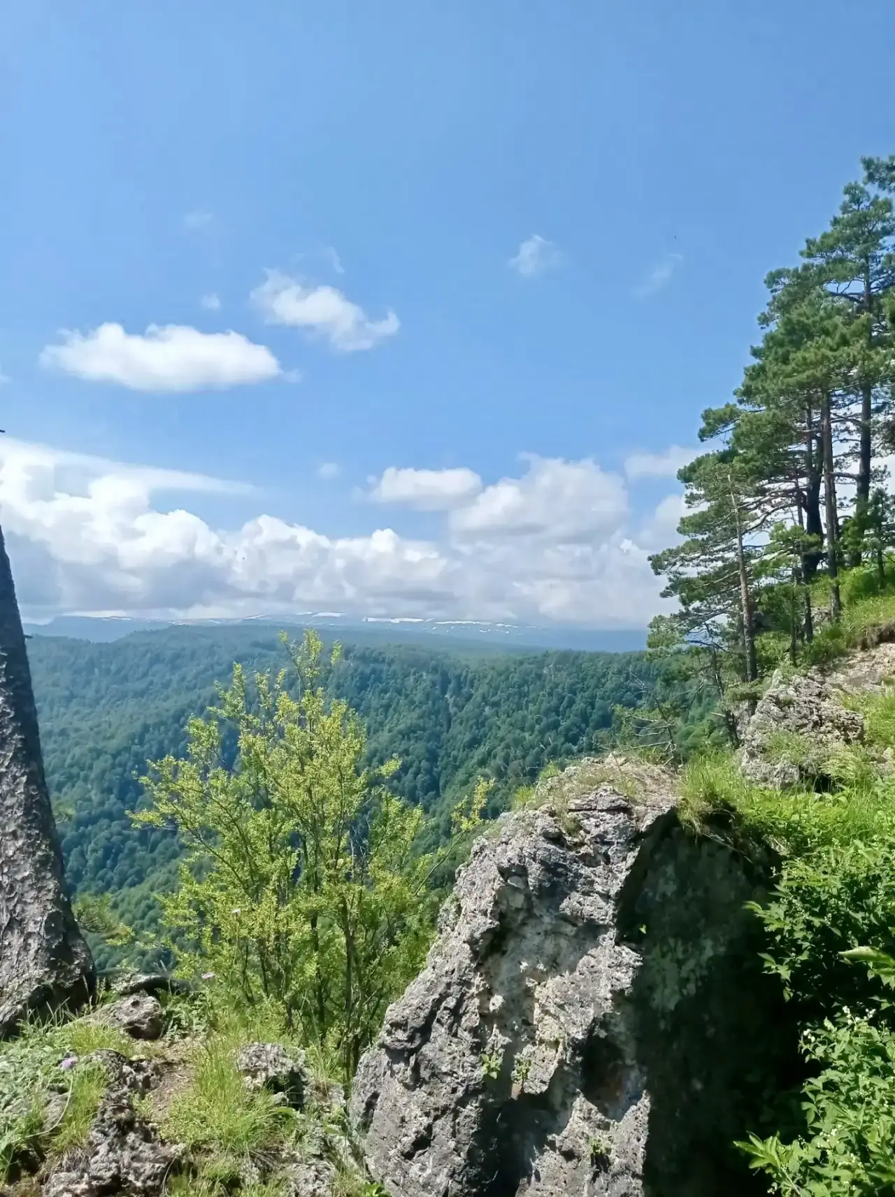 ☀️ Сегодня нас ждет жаркий летний день.